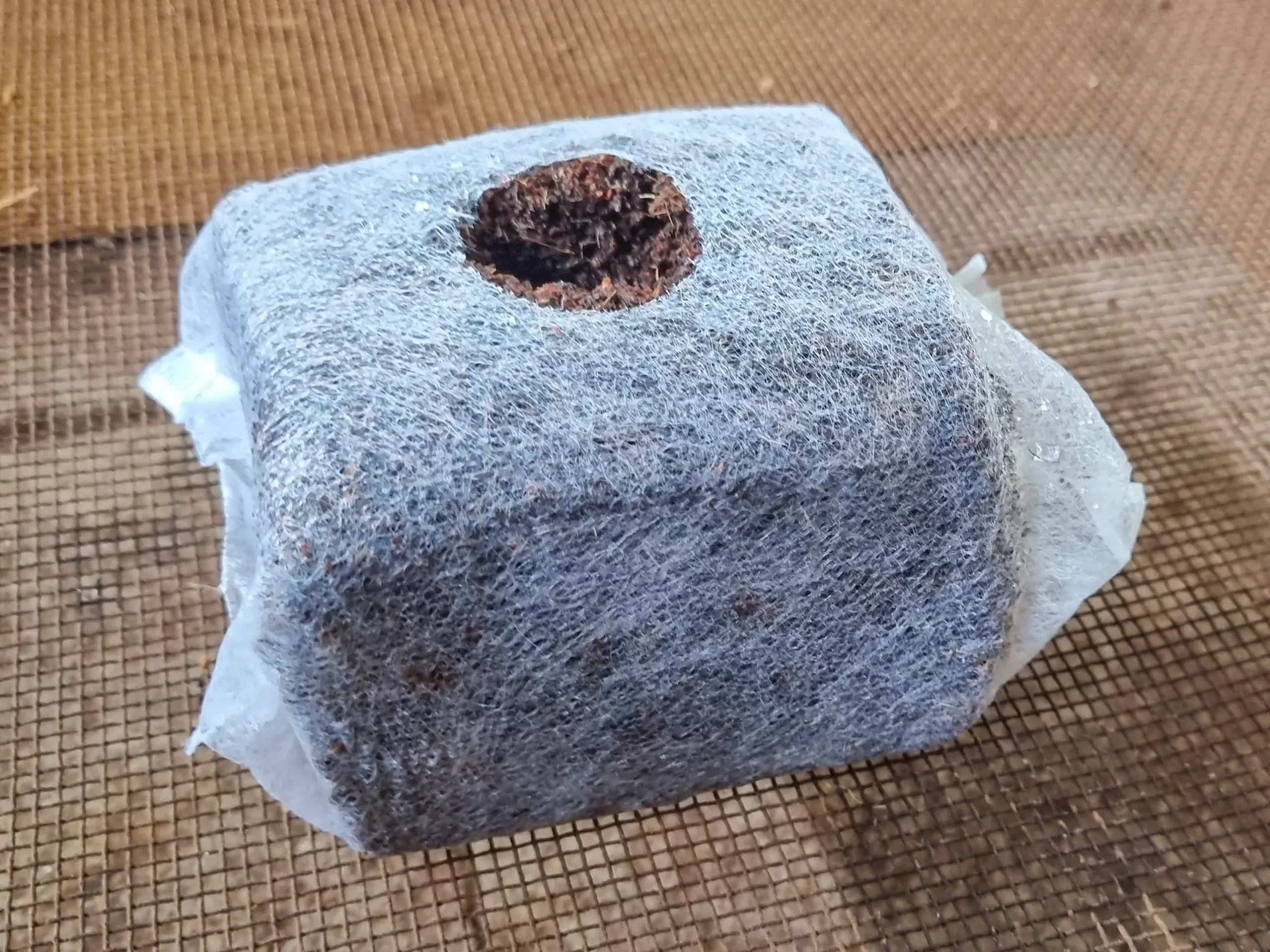 Coco Peat Propagation Cubes